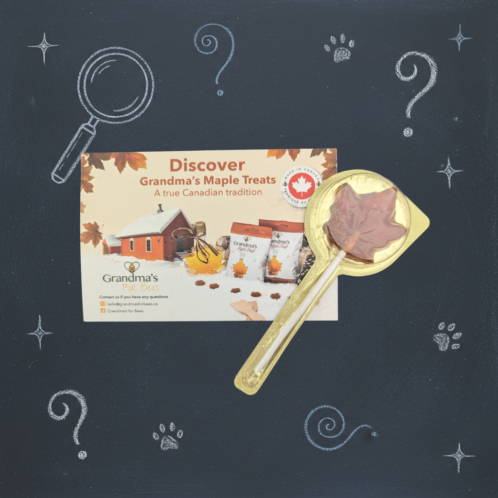 Top Secret Book Bundle: Junior Detective Edition — Ages 6–9