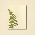 Pressed Fern Friendship Greeting Card