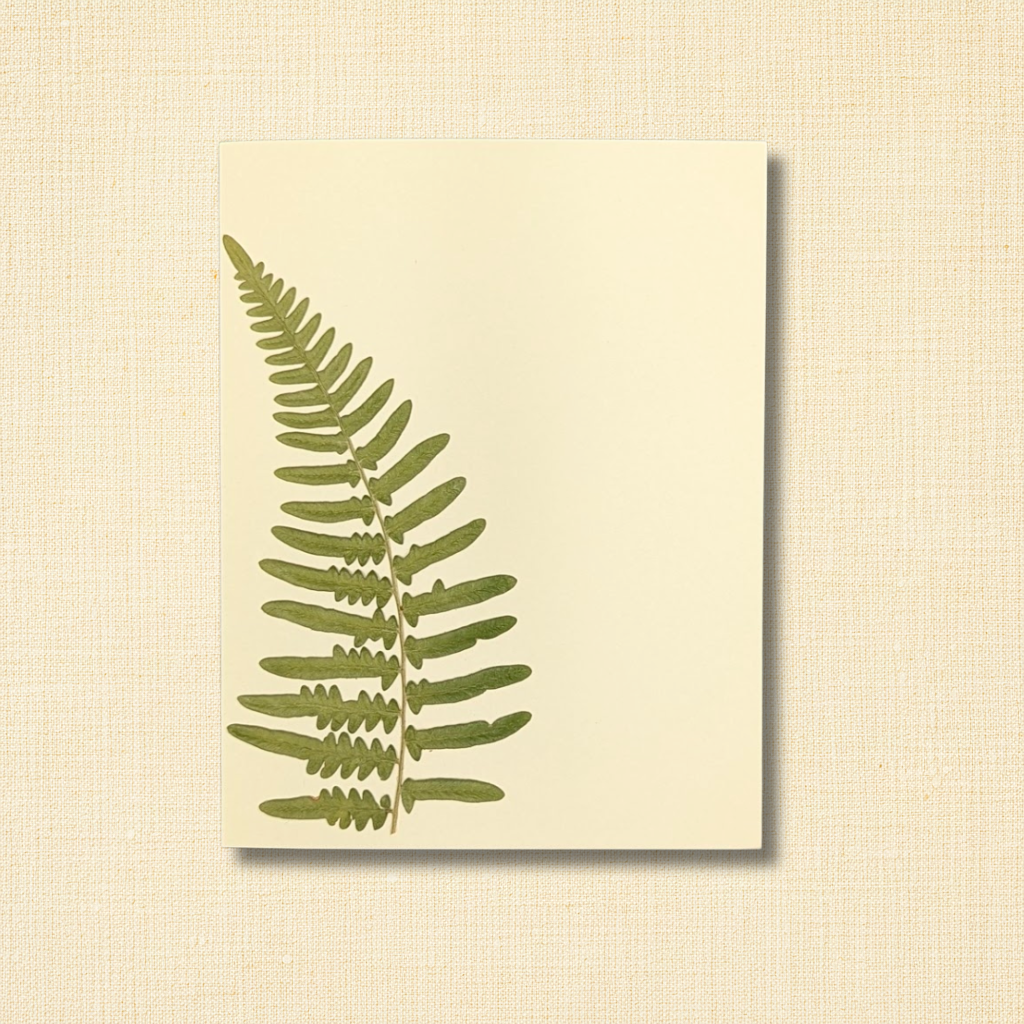 Pressed Fern Friendship Greeting Card