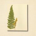 Pressed Fern & Goldenrod Sympathy Greeting Card