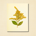 Pressed Goldenrod Friendship Greeting Card