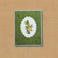 Green Frog Mushroom Happy Birthday Greeting Card