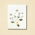 Pressed White Wildflower Sympathy Greeting Card
