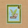 Pathfinder Fern Compass Greeting Card